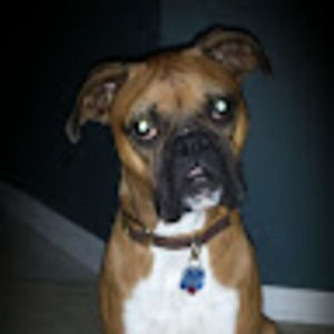 Meet your Posher, Jamie